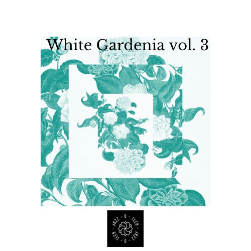 14_WhiteGardenia